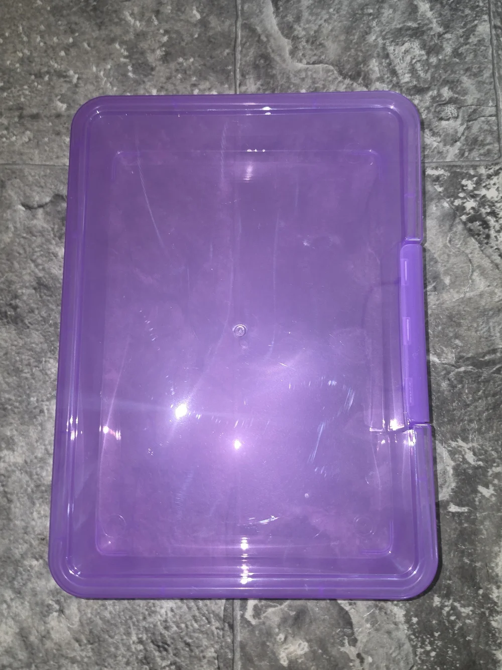 Purple Transparent Plastic Storage Case BNIB